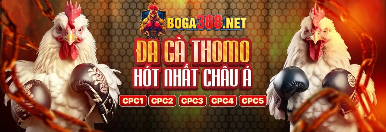 Hình ảnh sòng bạc trực tuyến uu58 nhà cái