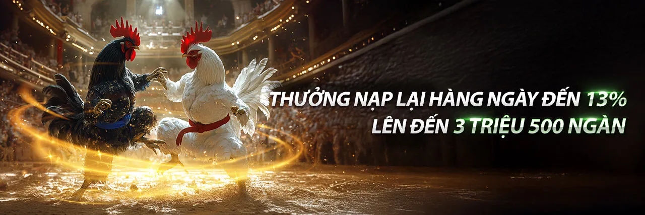 uu58 nhà cái - Đá gà trực tuyến sôi động với giao diện xanh vàng